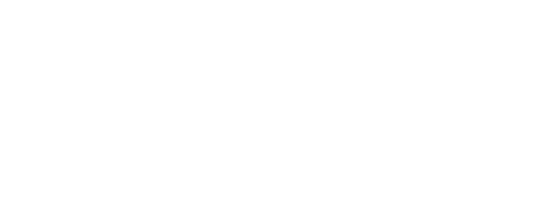 Logo Vila Châ Seguros Branco