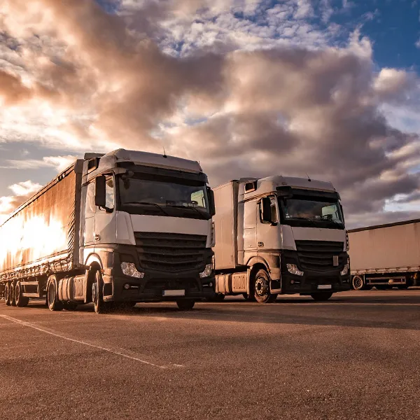 Transportes